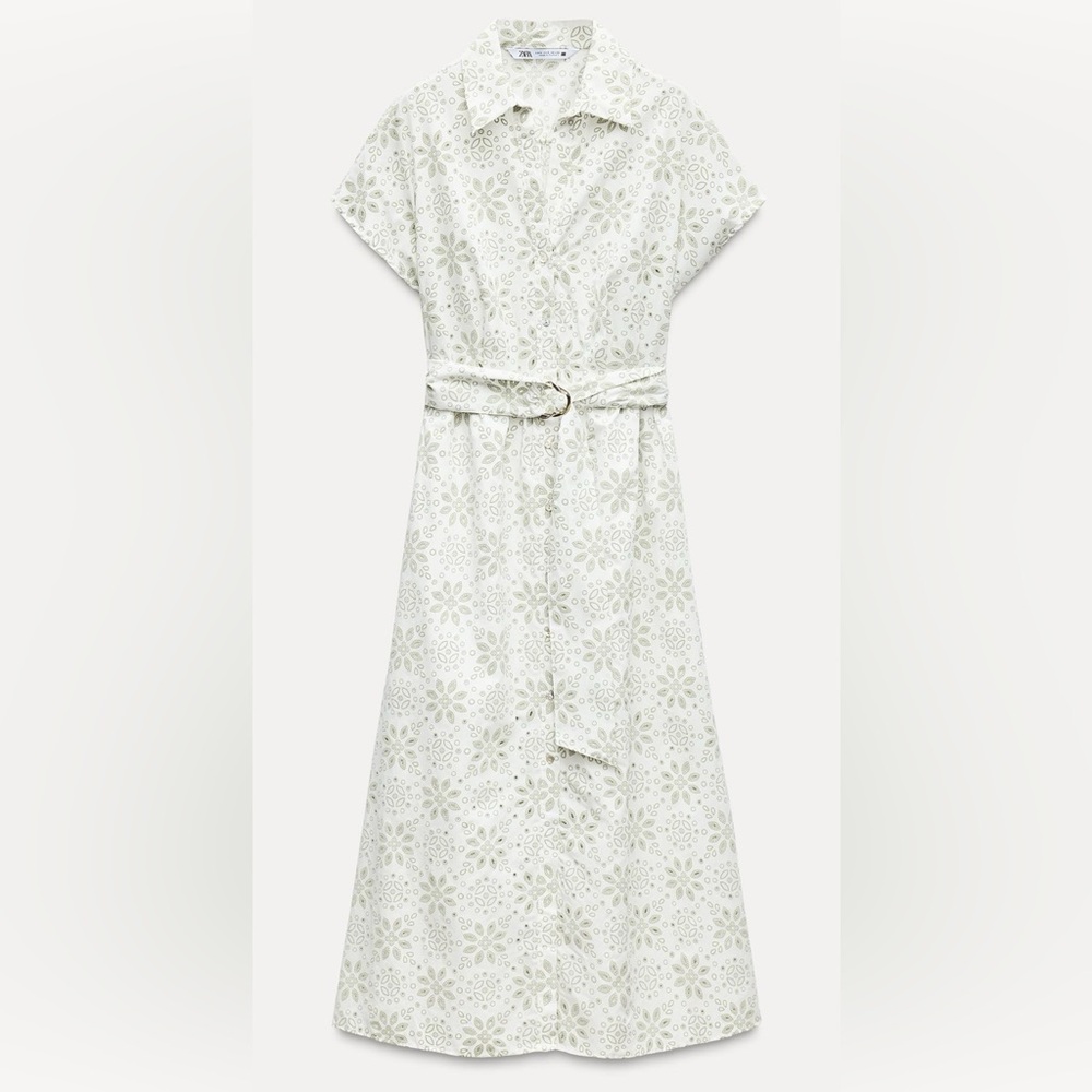 Zara Rubberized Embroidery Midi Dress - Picture 6 of 11